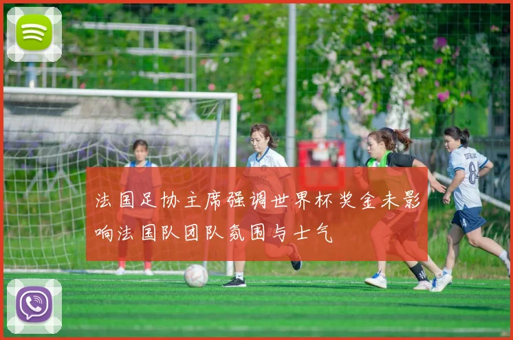 法国足协主席强调世界杯奖金未影响法国队团队氛围与士气