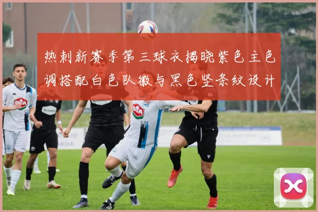 热刺新赛季第三球衣揭晓紫色主色调搭配白色队徽与黑色竖条纹设计